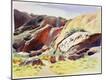 Giclee Print