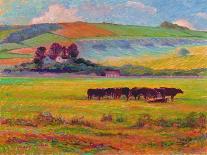 Evening Cattle, Cuckmere Valley, Sussex-Robert Tyndall-Giclee Print