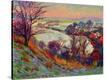 Stretched Canvas Print