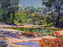 Wirreanda Creek, New South Wales, Australia-Robert Tyndall-Framed Giclee Print