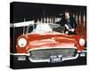 Stretched Canvas Print