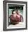 Robert Wagner-null-Framed Photo