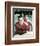 Robert Wagner-null-Framed Photo