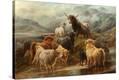 Stretched Canvas Print