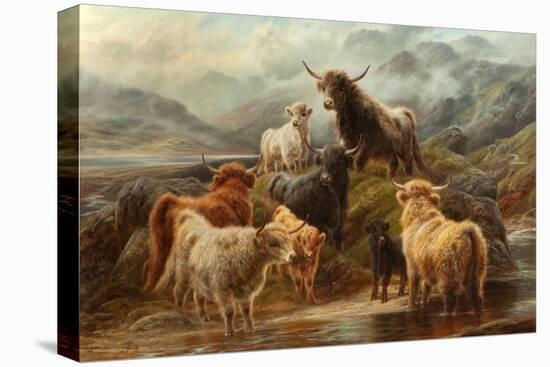 Stretched Canvas Print, , large
