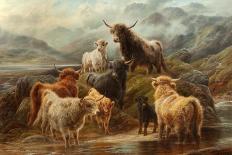 Highland Cattle, 1894-Robert Watson-Framed Premier Image Canvas