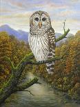 Barred Owl-Robert Wavra-Giclee Print