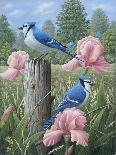 Blue Jays-Robert Wavra-Giclee Print