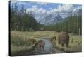 Stretched Canvas Print