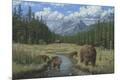 Giclee Print
