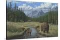 Stretched Canvas Print