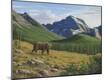 Giclee Print