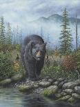 Smoky Mountain Black Bear-Robert Wavra-Framed Giclee Print