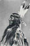 A Sioux chief in his warpaint, 1912-Robert Wilson Shufeldt-Photographic Print