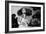 Roberta Flack, Ronnie Scotts , Soho, London, 1972-Brian O'Connor-Framed Photographic Print