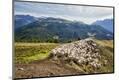 Photographic Print