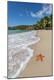 Premium Photographic Print