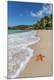 Premium Photographic Print