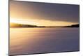 Photographic Print