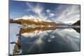 Photographic Print