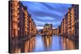 Stretched Canvas Print