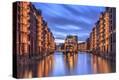 Stretched Canvas Print