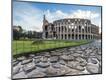 Photographic Print