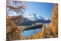 Photographic Print