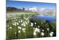 Photographic Print