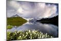 Photographic Print