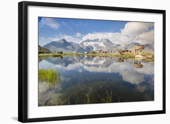 Photographic Print, , large