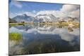 Photographic Print