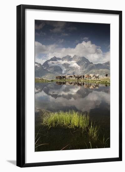 Photographic Print, , large