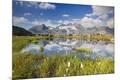 Photographic Print