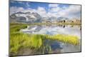 Photographic Print