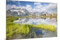 Photographic Print