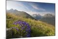 Photographic Print