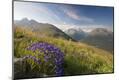 Photographic Print