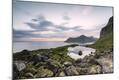Photographic Print