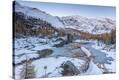 Stretched Canvas Print
