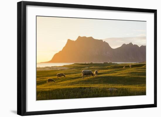 Photographic Print, , large