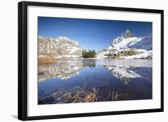 Photographic Print, , large