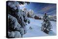 Stretched Canvas Print