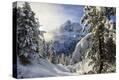 Stretched Canvas Print