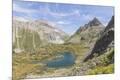 Photographic Print