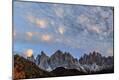 Photographic Print