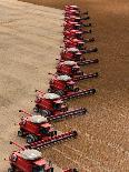 A Group of Harvesters Performs its Task in Establishing the State's North of Mato Grosso-Roberto Pera-Framed Stretched Canvas