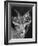 Robertsi Gazelle from Kenya Serengeti in Storage, American Museum of Natural History-Margaret Bourke-White-Framed Photographic Print