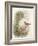 Robin, 1873-John Gould-Framed Giclee Print