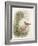 Robin, 1873-John Gould-Framed Giclee Print